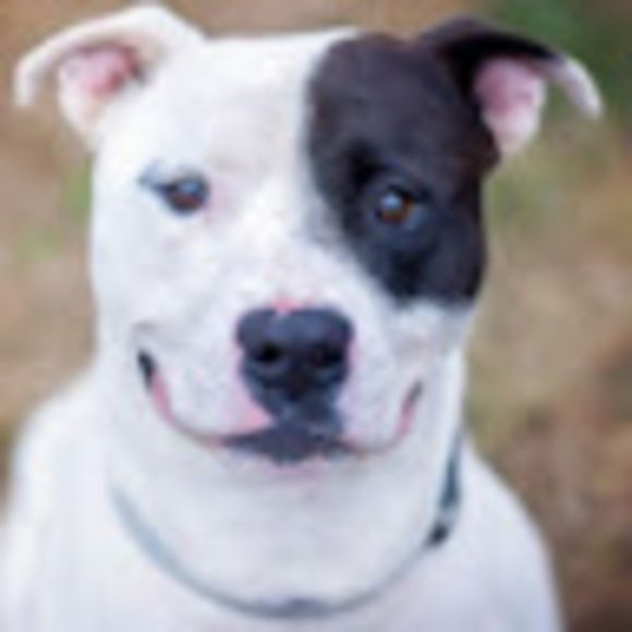 Meet your Posher, Dana - Picture 1 of 1